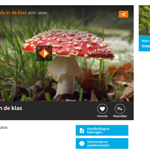 Vroege Vogels in de klas