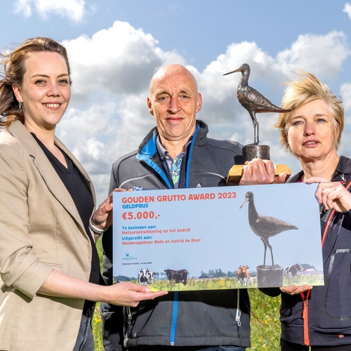 Friese weidevogelboer wint Gouden Grutto