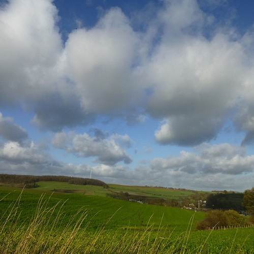 Rapportcijfer voor landschap in 2015 gedaald tot onder de 6