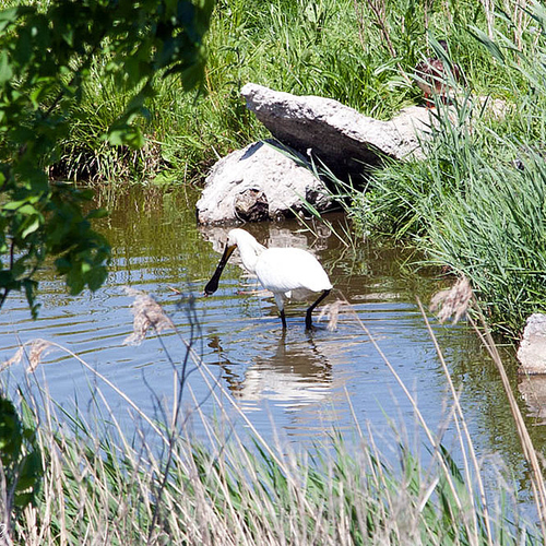 Kreekrug uit prehistorie op monumentenlijst