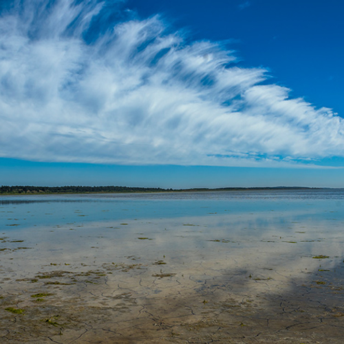 Duinbrand op Vlieland door oefenbom