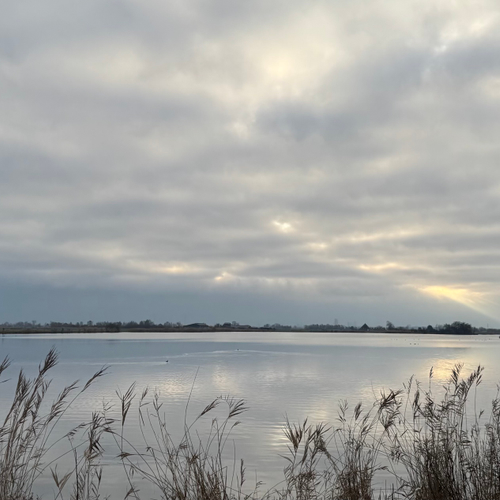 Afbeelding van Steeds meer chemische stoffen in water, waarschuwt RIVM