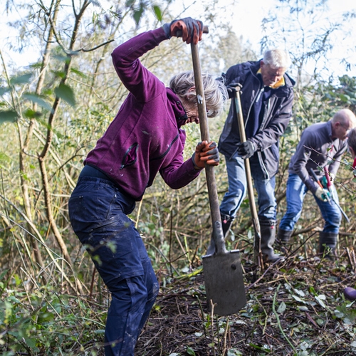 Afbeelding van Doe een natuurklus tijdens de Nationale Natuurwerkdagen