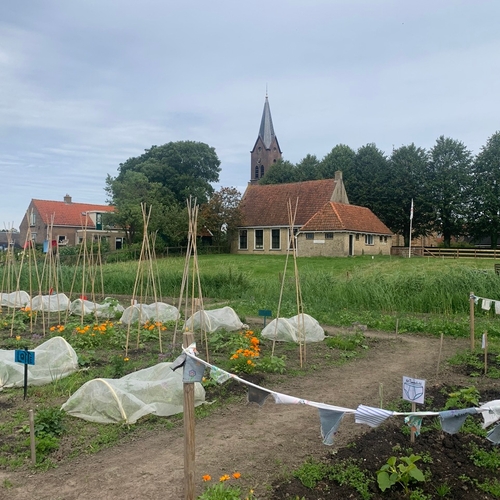 Afbeelding van Schooltuinpilot op oude terp leert Friese kinderen tuinieren
