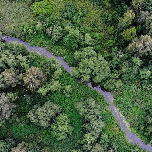 Afbeelding van Natuurbeheerders schikken 80 miljoen euro aan particuliere grondbezitters