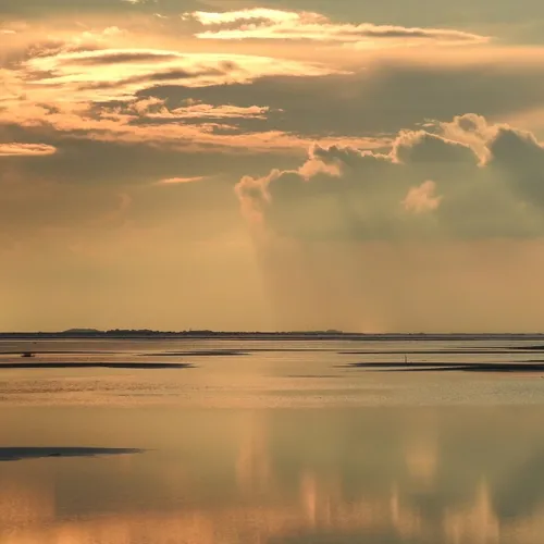 Verzet natuurorganisaties tegen stroomkabel via Schiermonnikoog