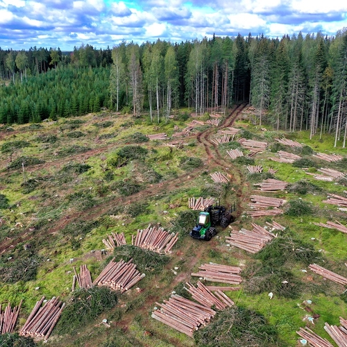 Natuurclubs ontevreden over uitstel Europese ontbossingswet