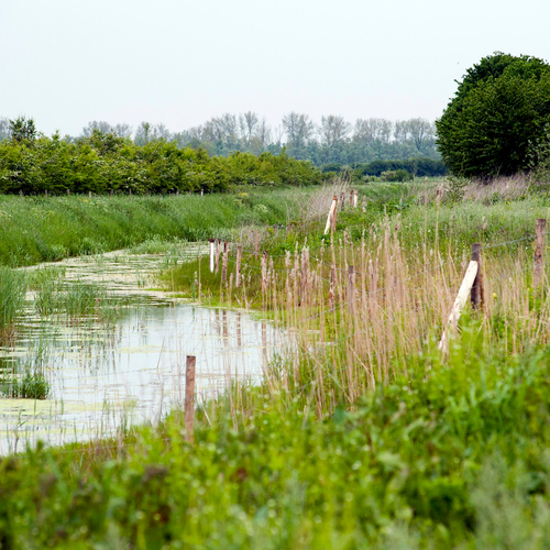 Succesvolle natuurverbindingen in de Ooijpolder