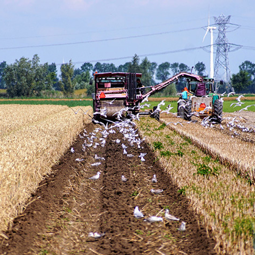 Afbeelding van RIVM: stikstofversoepeling Wiersma niet wetenschappelijk onderbouwd