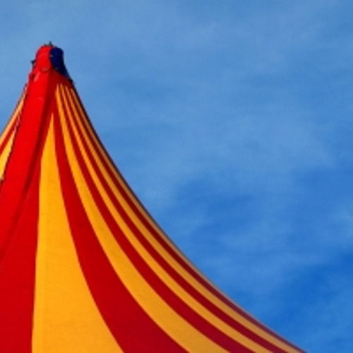 'Onderzoek nalatigheid circus Renz Berlin'