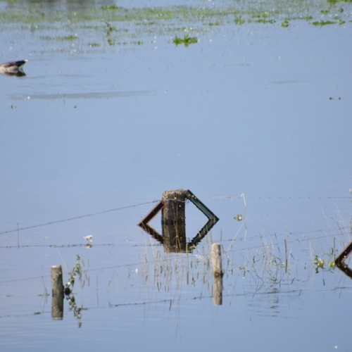 Afbeelding van Wereldwijd 310 miljard euro schade door natuurrampen in 2024