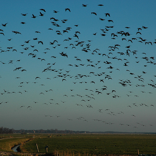 Terschelling in beweging