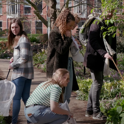 Afbeelding van Mens staat centraal in openingsfilm op natuurfilmfestival