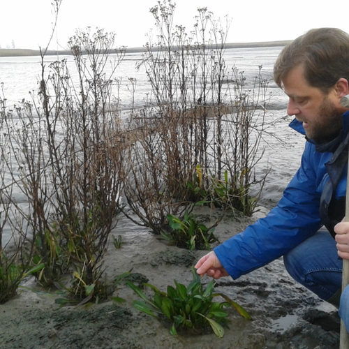 Toekomst van de Hedwigepolder