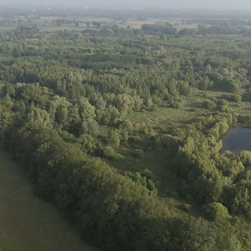 Kamertjeslandschap van de Zuidelijke IJsselvallei