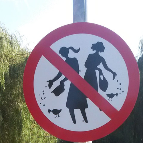 Verkeersborden tegen voeren eenden