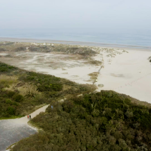 Afbeelding van Veerse Meer onder druk: ecologen slaan alarm