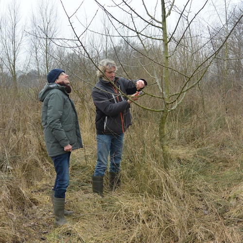 Voedselbos geeft eten én natuur