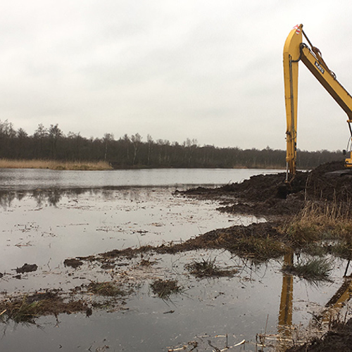 Nieuw leven in het veen