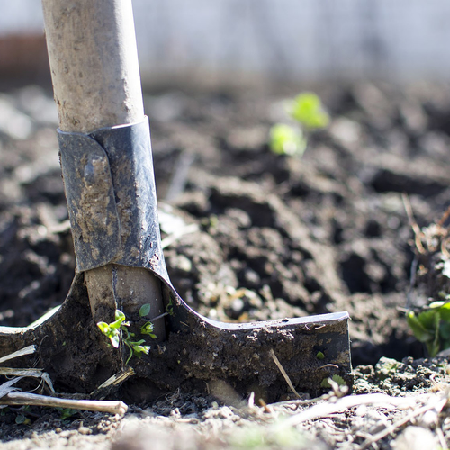 'Eet niet te vaak uit tuin dicht bij Chemours'