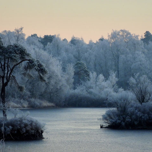 Mooiste foto’s van ruige rijp