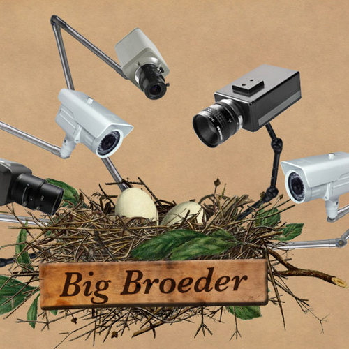 Volg de vogels, vossen en bevers