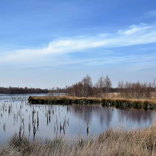 Wat betekent winst BBB voor Nederlandse natuur?