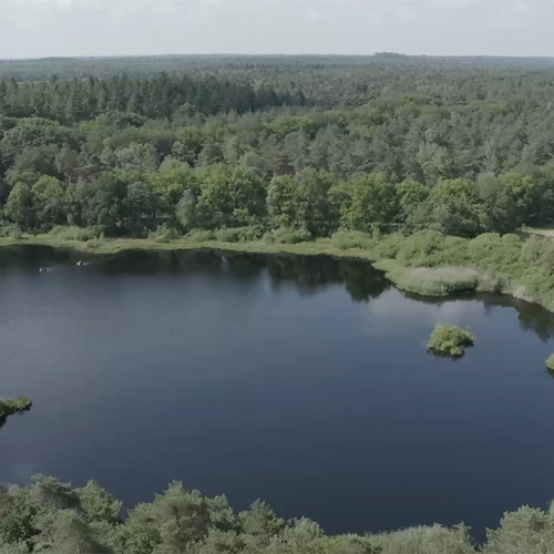 Streep door natuurbeleid van vorige kabinet