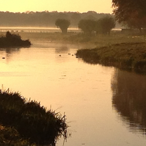 Rivier de Berkel is weer schoon