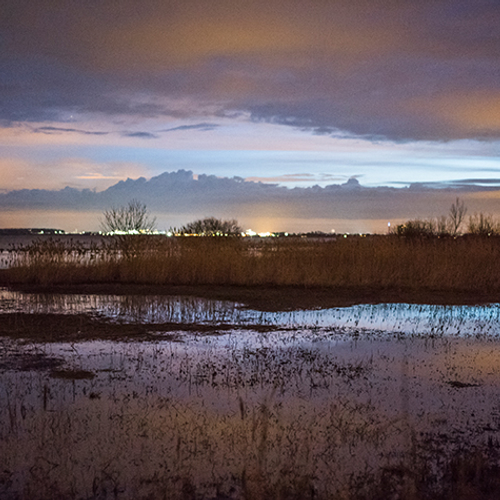 Boswachter  in de Brabantse wal