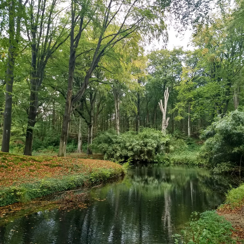 Landgoed Elswout is rijk aan natuur