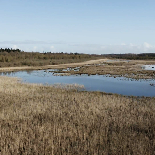 Drenthe krijgt negen faunatunnels, ondanks verzet van BBB en PVV