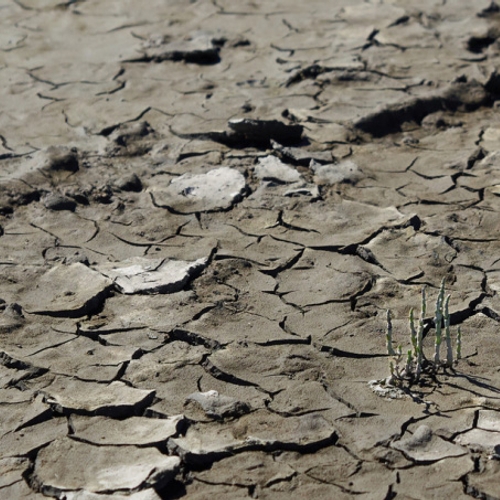 ''Schade klimaatverandering loopt in biljoenen''