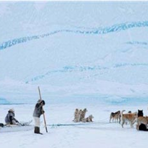 Oorlog tegen pesticiden