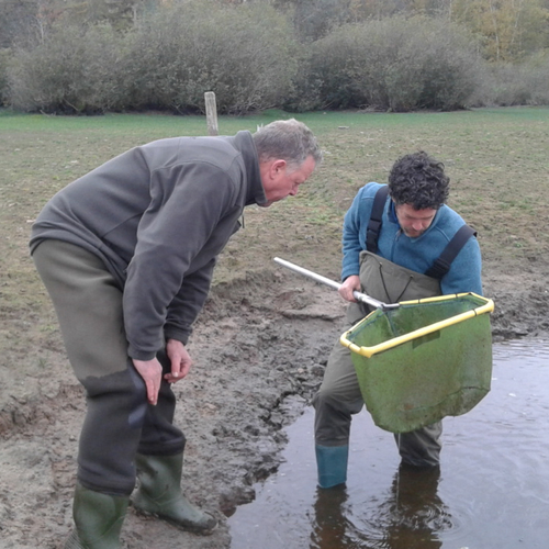 Hoe een snoek een baars vangt