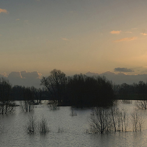 Vernielingen bij terrein Staatsbosbeheer