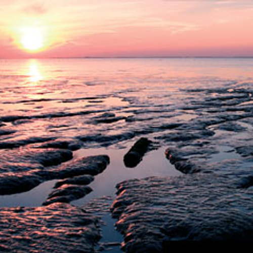 Etappe 10: De Wadden
