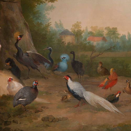 Vogelbehang uit paleis trekt veel bezoekers