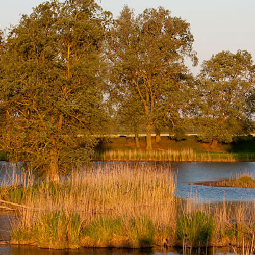 Europese regels voor natuurbescherming verbeterd