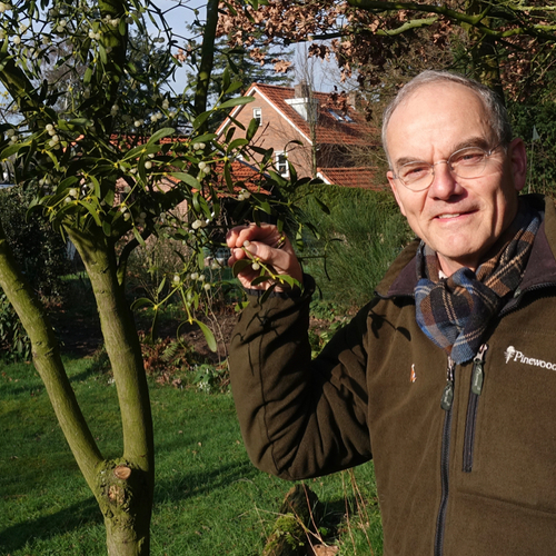 Gebiologeerd door de maretak