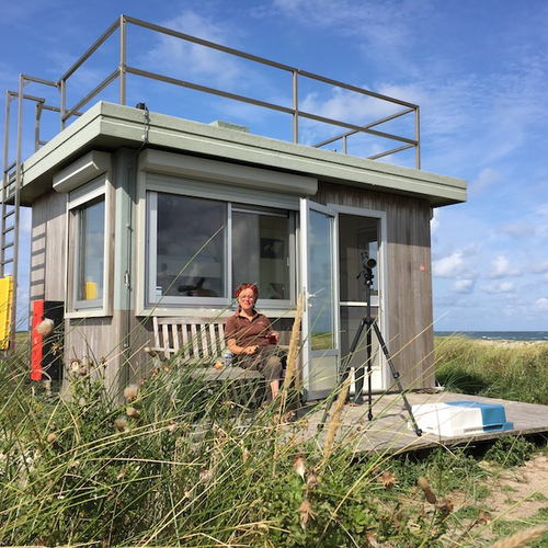 Paradijs in de polder