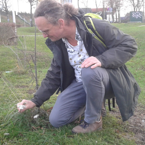 Op zoek naar bloeiende planten