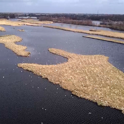 Nieuwkoopse Plassen: groene enclave in de Randstad