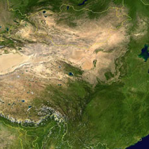 Tientallen babycobra's spoorloos in China