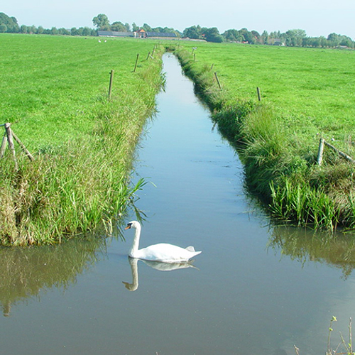 Slechtere waterkwaliteit in de sloot