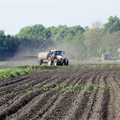 Groenten verbouwen op zilte grond