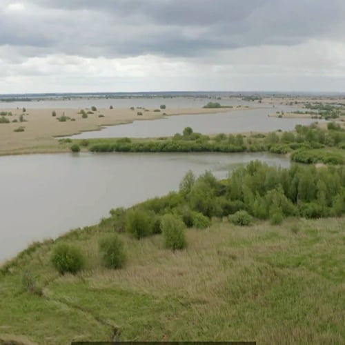 Afbeelding van Staatsbosbeheer stelt besluit over bezoekerscentra uit