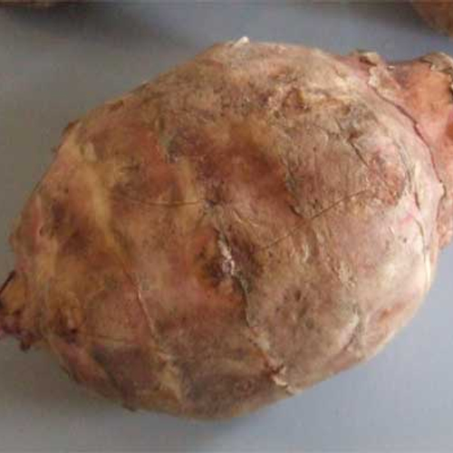 Aardpeerrecepten uit de uitzending