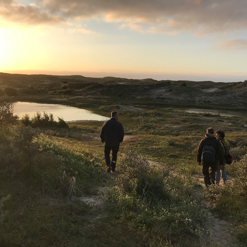 Kikkerparadijs in duinen van Meijendel