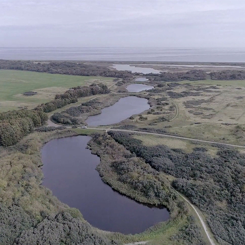 Afbeelding van Storten van bagger in Lauwersmeer voorlopig verboden